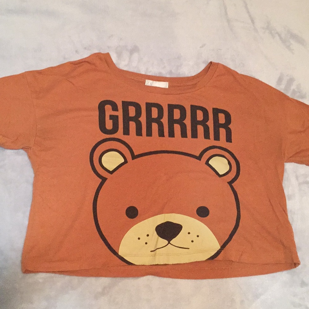Teddy Bear Crop Top
